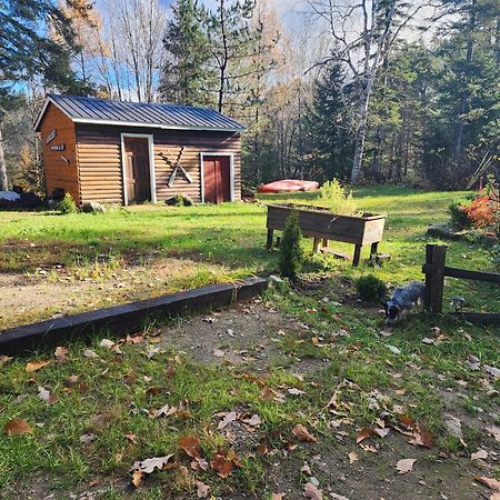 Chalet De L'Ours Bord Riviere - Lit King Size - Petit Dejeuner Bio - Table De Pool Villa Saint-Alexis-des-Monts Esterno foto